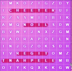 Word Search Animals