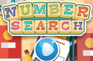 Number Search