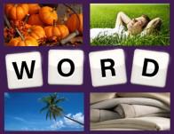 4 Pics 1 Word