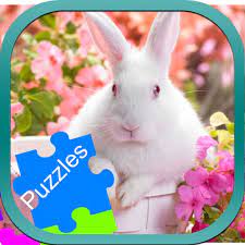 Rabbit Jigsaw Puzzles