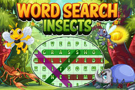 Word Search Insects