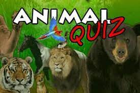 Animal Trivia